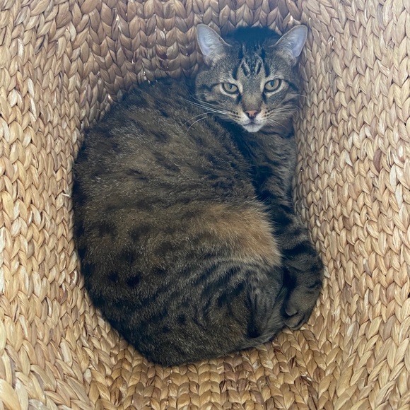 Meet Mairin!! - Picture 2 of 2